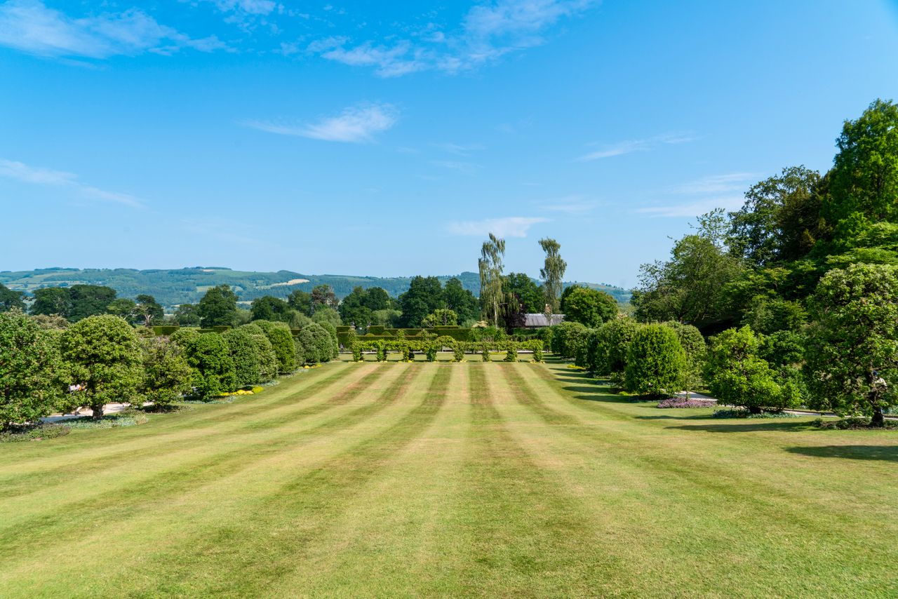 Wide striped lawn sweeping across a formal garden with shaped trees