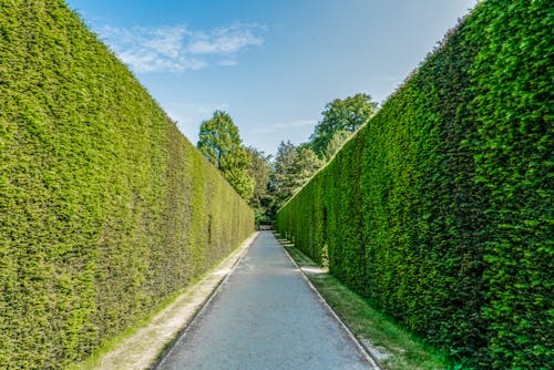 Gravel Park Path