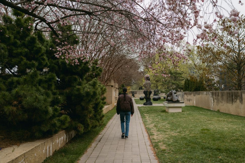 Picture for Movement as medicine: exercise brings unexpected hope for those living with Parkinson's