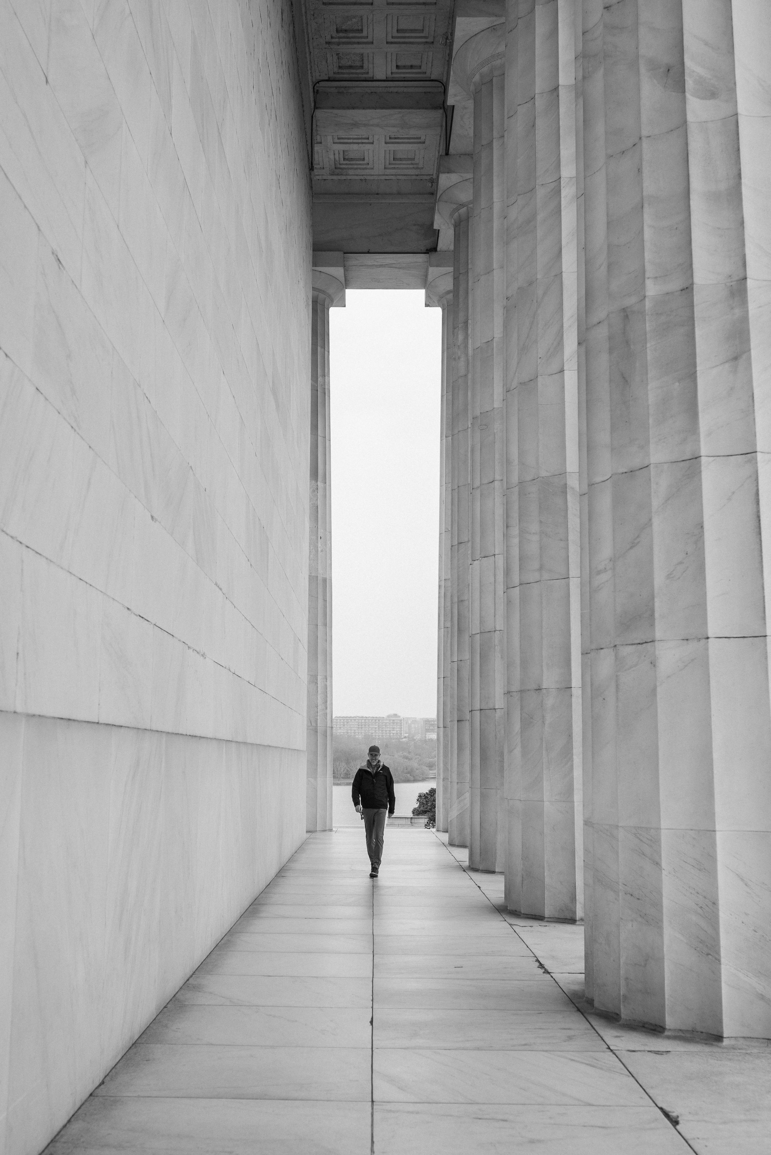 Washington Dc Cherry Blossoms Photos, Download The BEST Free Washington ...