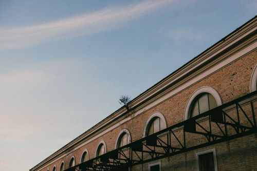 Free Brick building facade with arched windows and a tree against a clear sky, highlighting nature's resilience. Stock Photo