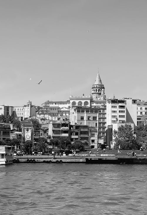 Harbor in Istanbul in Black and White 