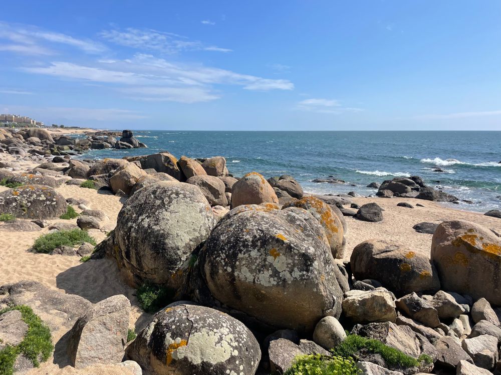 Beach Side Rocks Top Rocks on a Beach · Free Stock Photo