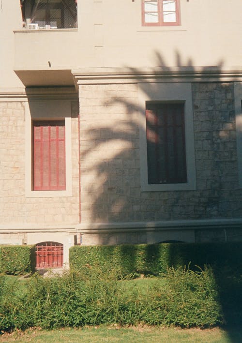 Plants near Building Wall