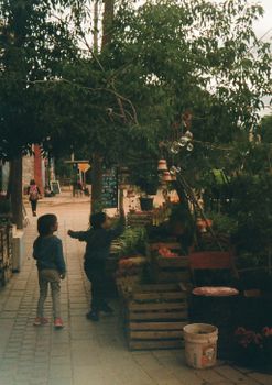 Two children enjoy playing with bubbles on a tree-lined urban sidewalk.