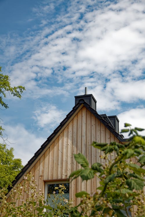 Modern Wooden Rural House