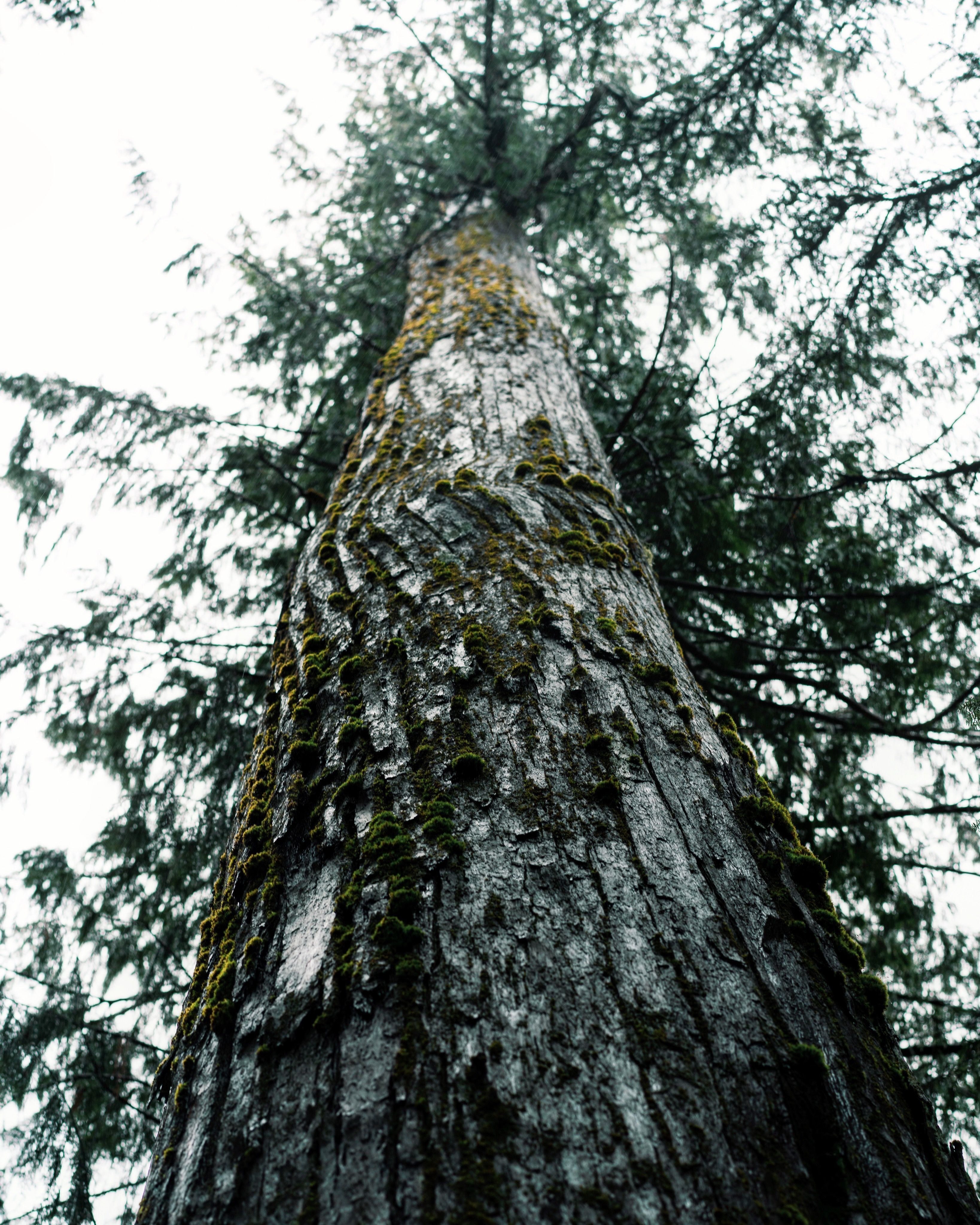 low angle shot photography – Image 12