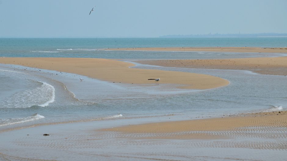 Kenfig NNR — view 5