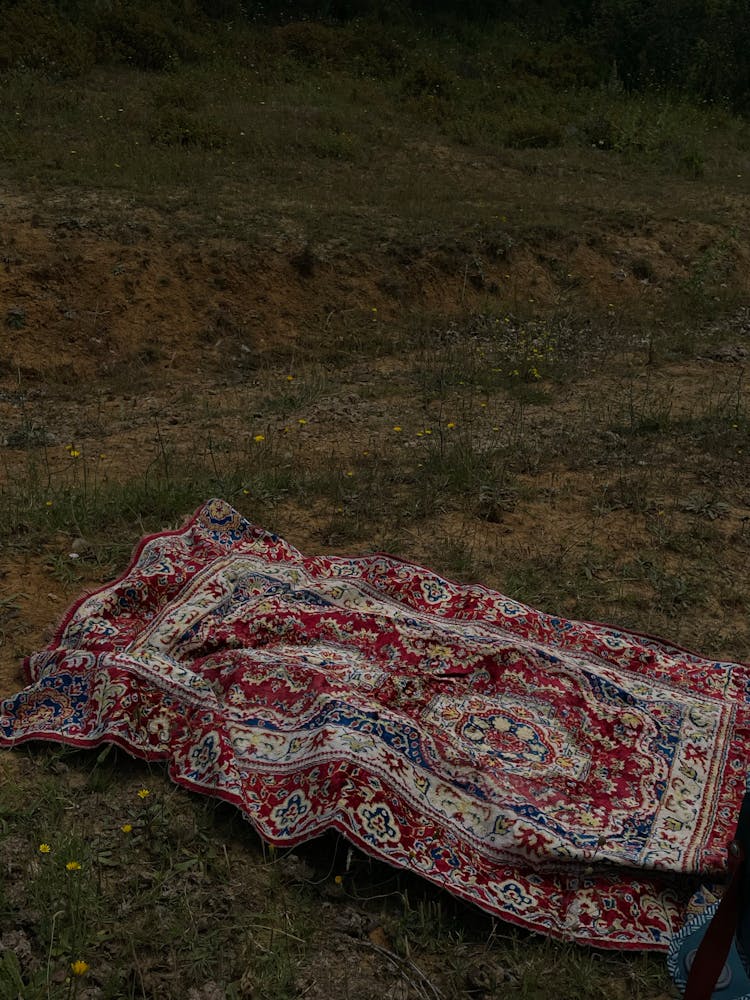 Old Carpet In The Meadow