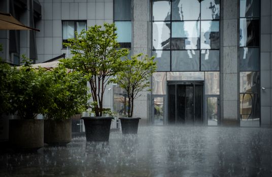 Modern building facade with plants in rain, capturing urban tranquility and reflection.