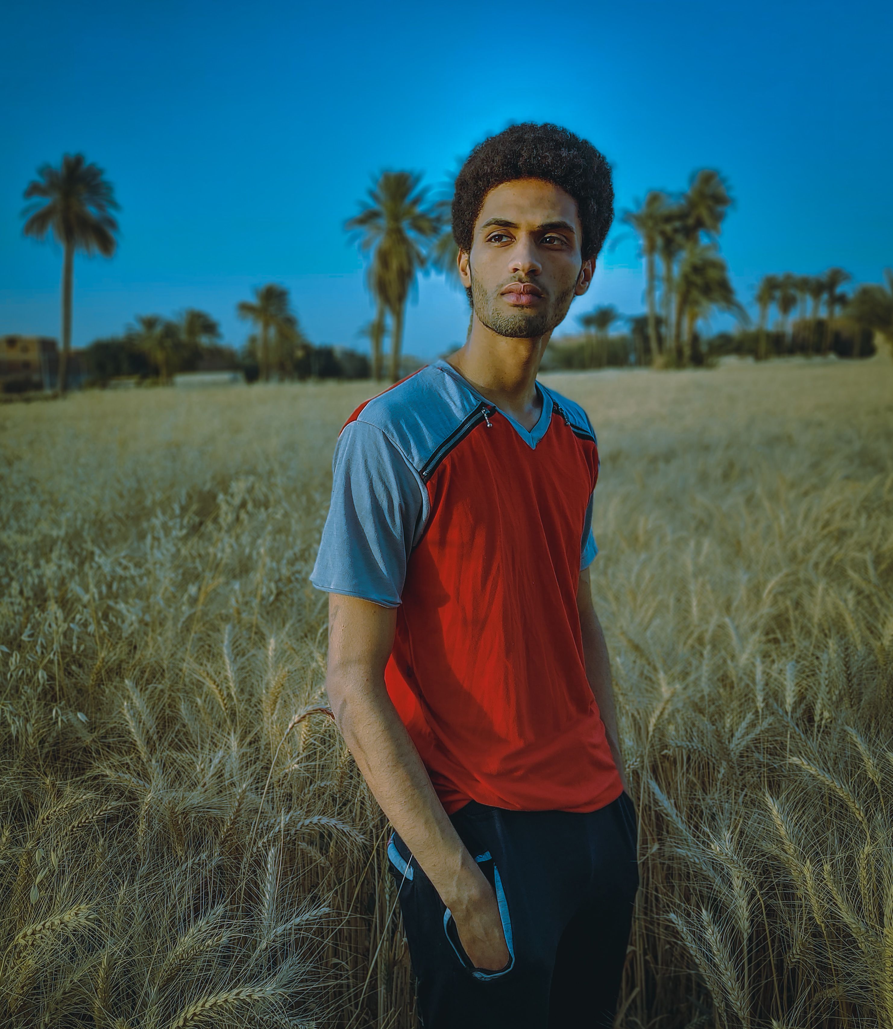 Man Standing on Field with Ripe Wheat Blades · Free Stock Photo