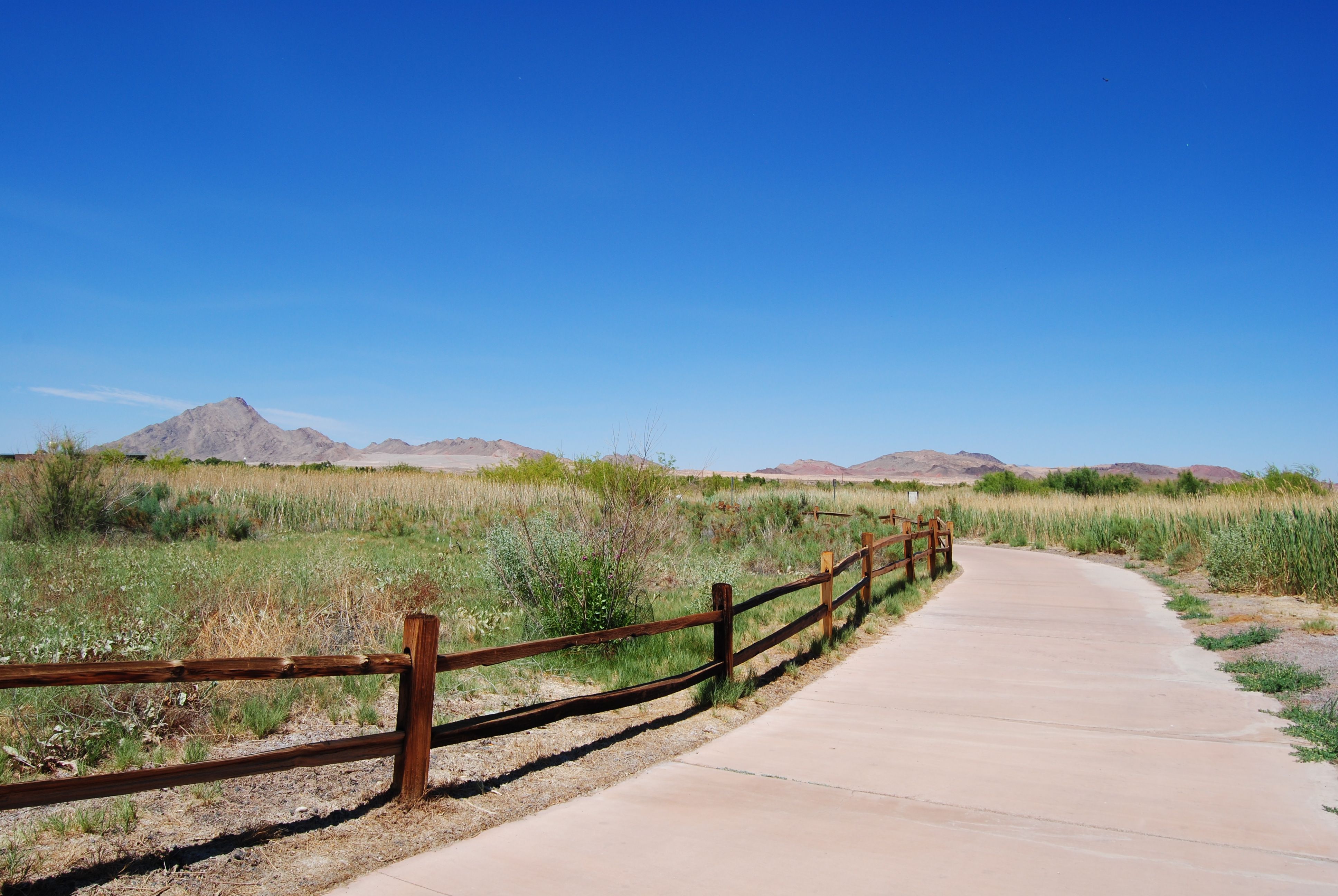 Clear pathway leading towards a symbol of health and wellness - do you need a prescription for peptide therapy
