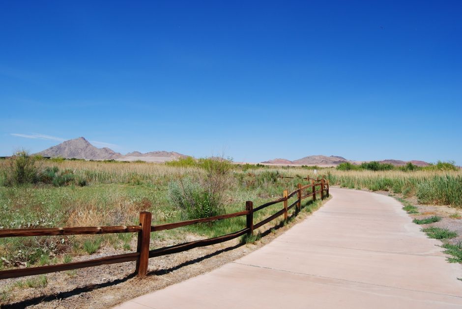 Clear pathway leading towards a symbol of health and wellness - do you need a prescription for peptide therapy Clear pathway leading towards a symbol of health and wellness - do you need a prescription for peptide therapy