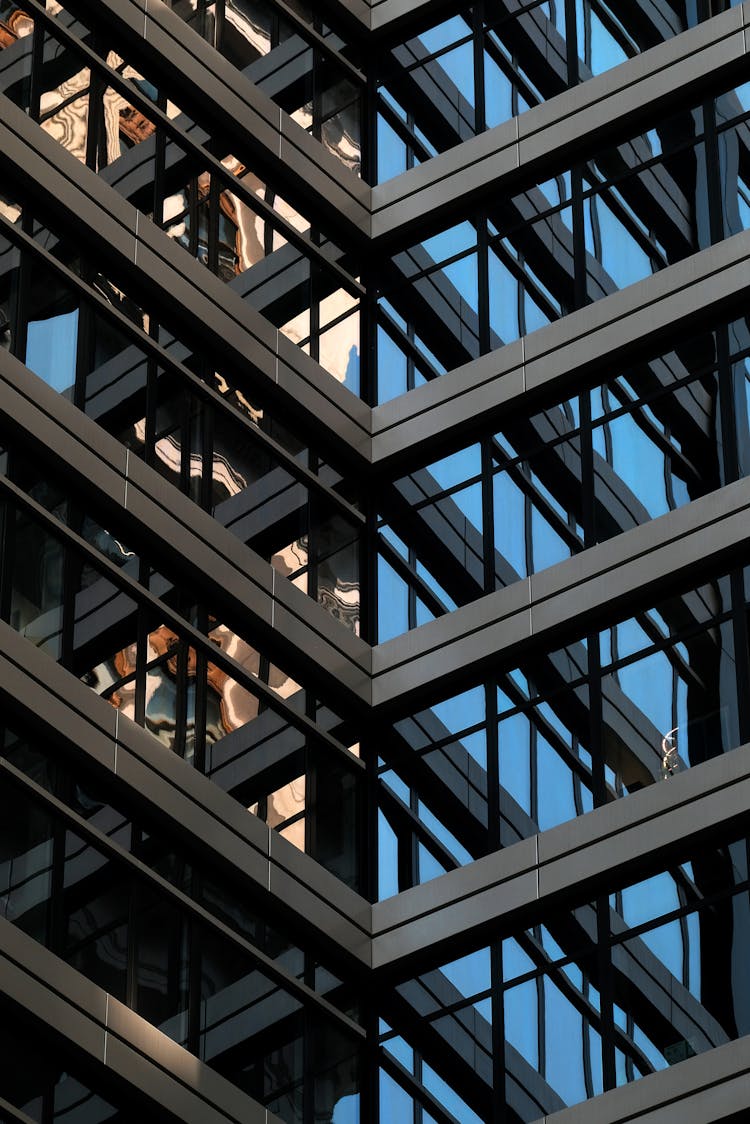 Windows Of Office Building