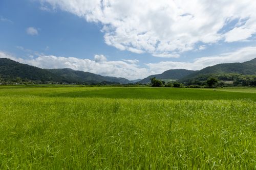 Free Idyllic rural landscape with lush green fields and distant hills under a cloudy blue sky. Stock Photo