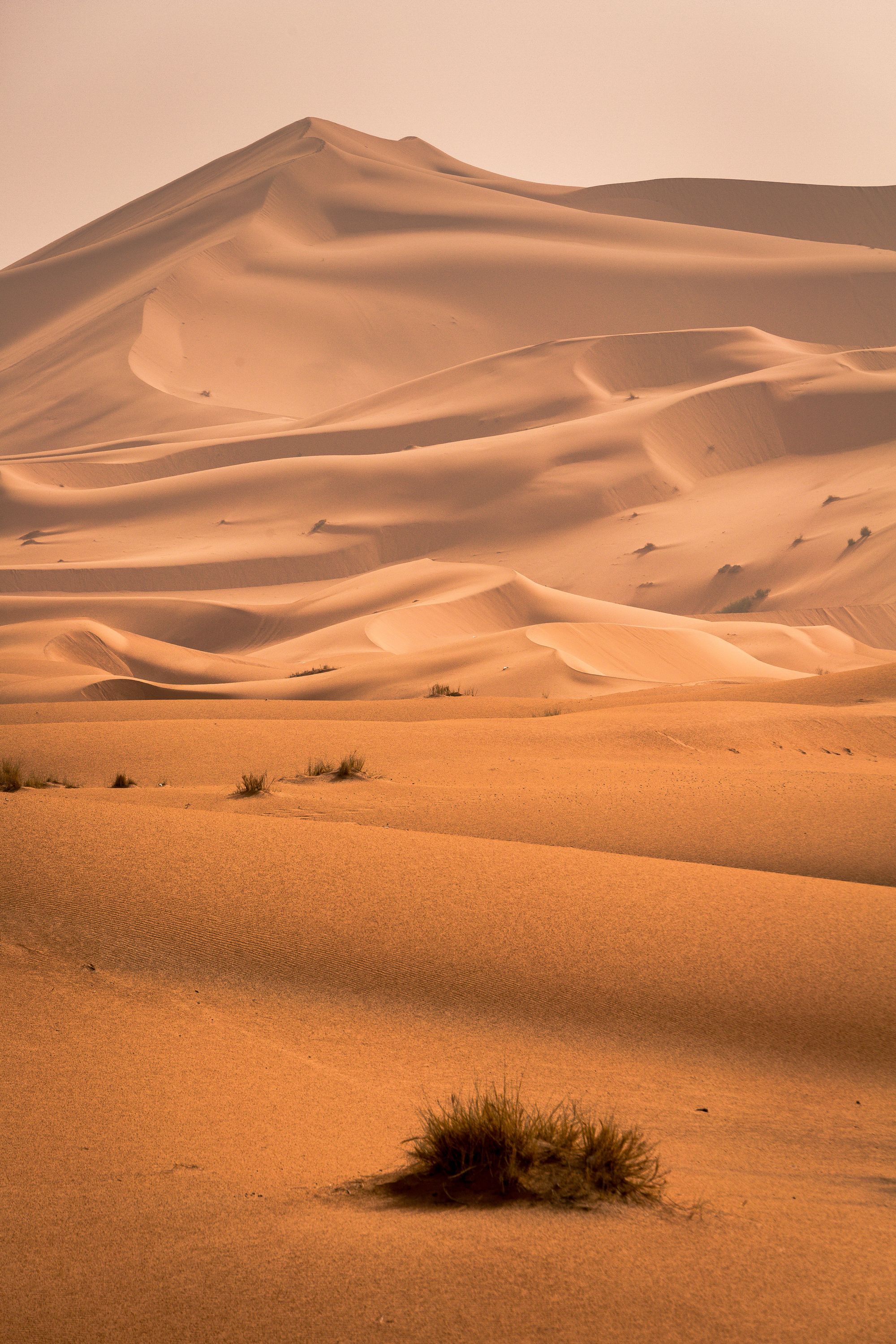 Pas dans le sable du Sahara