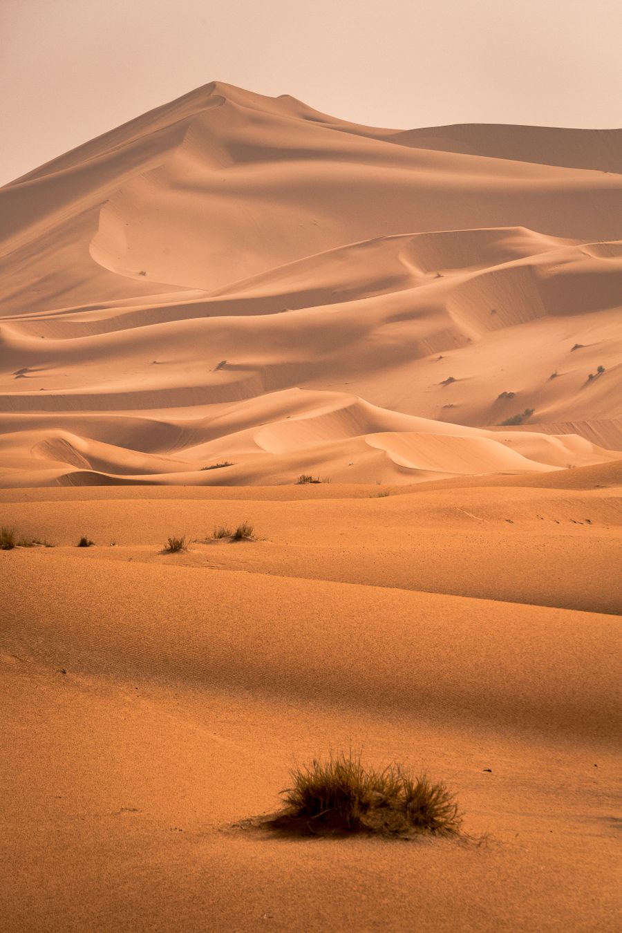Desert Safari