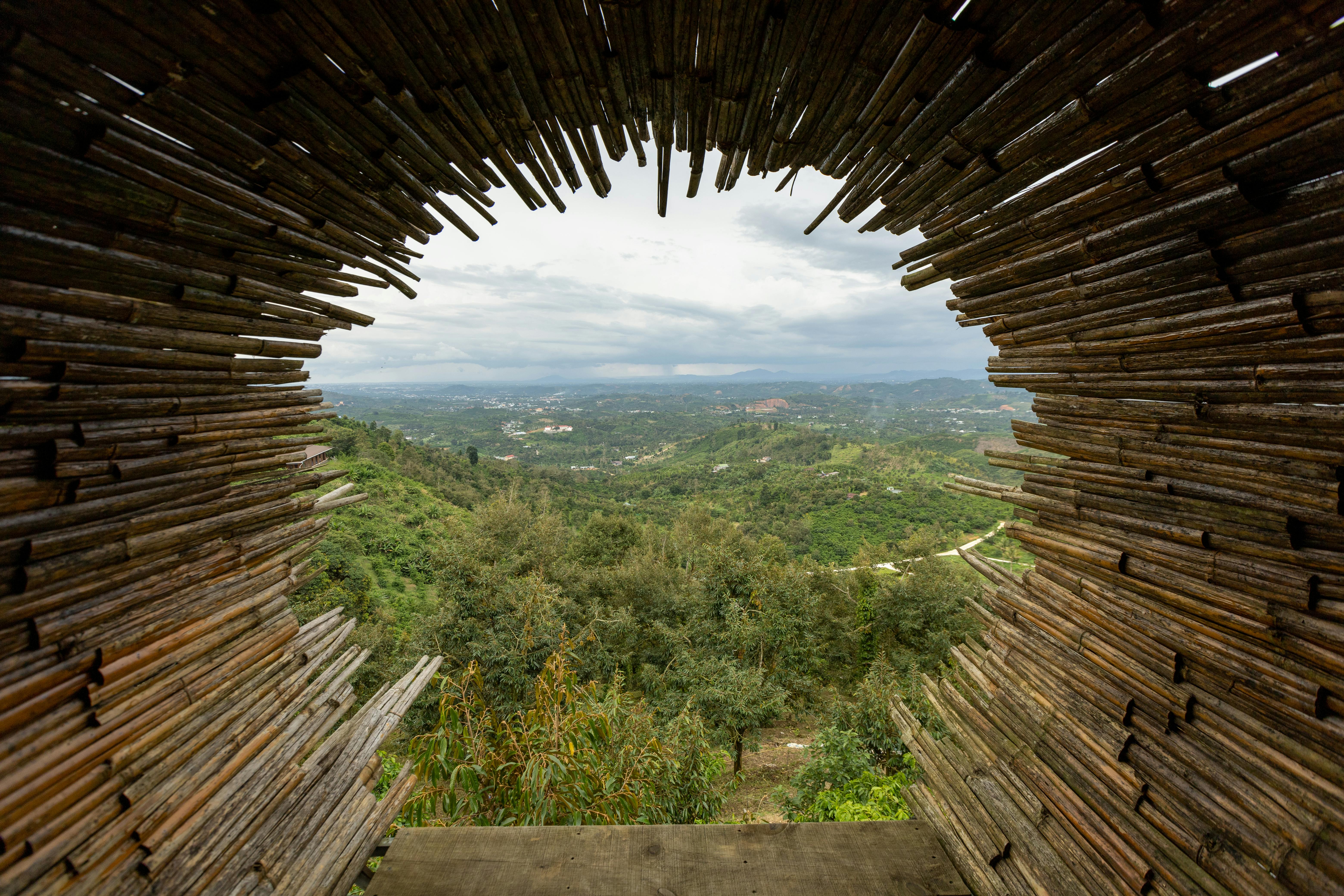 A breathtaking view of a lush forest landscape framed by bamboo logs in a unique structure.