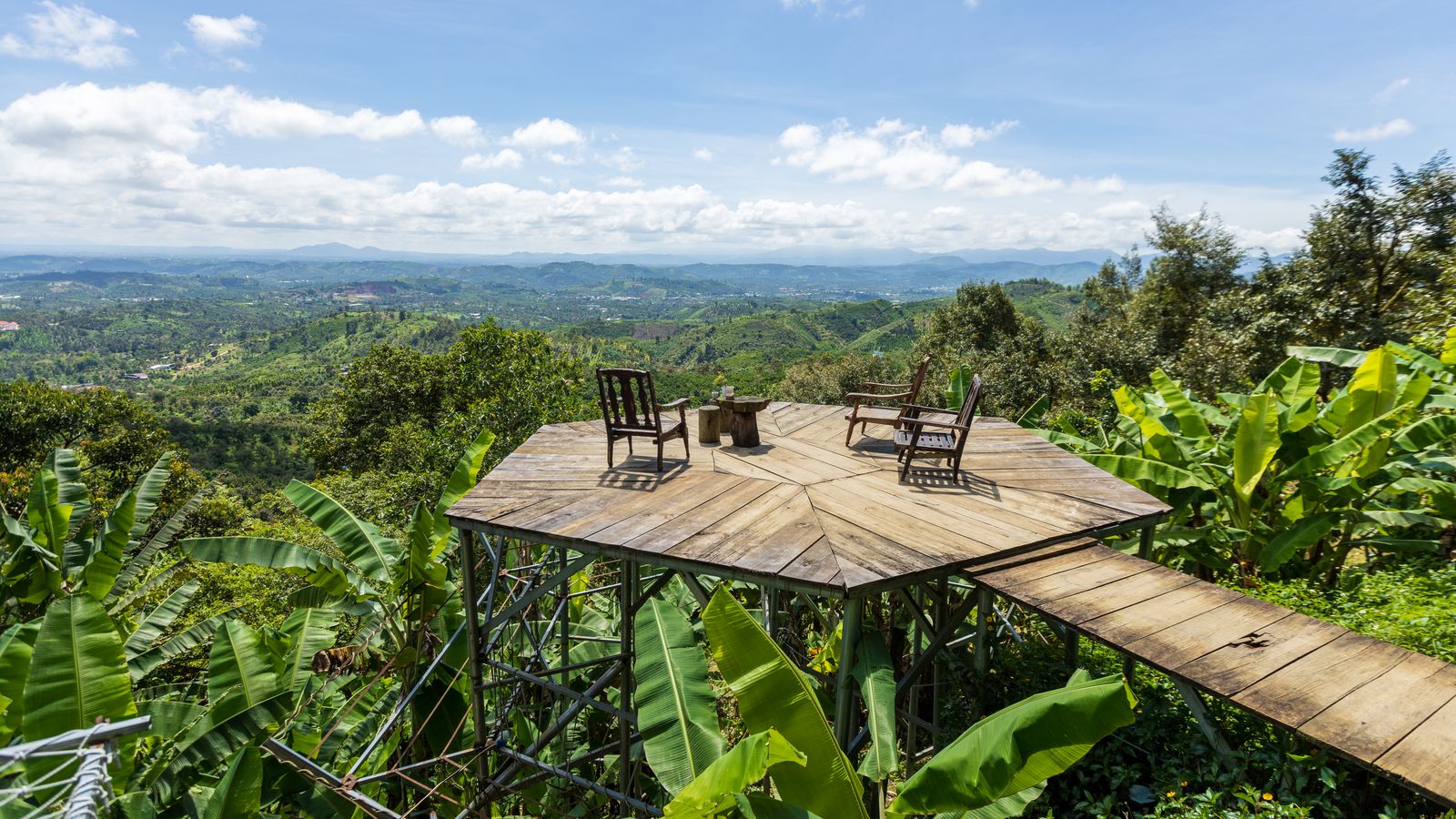 Wooden terrace over forest, Central African Republic