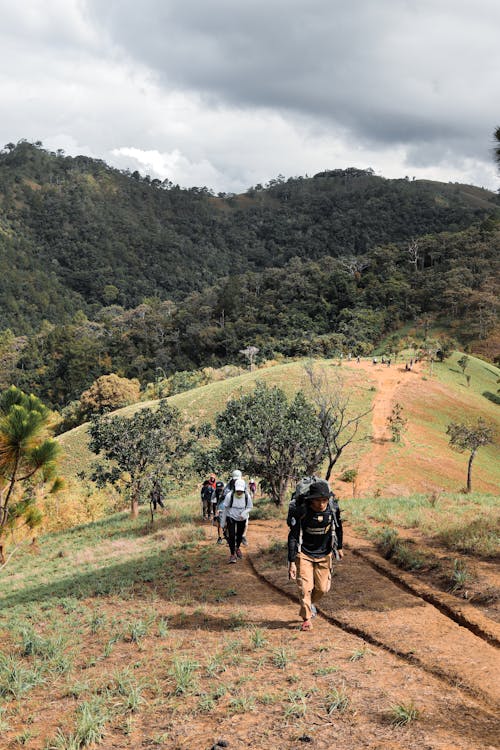 People Hiking in Countryside