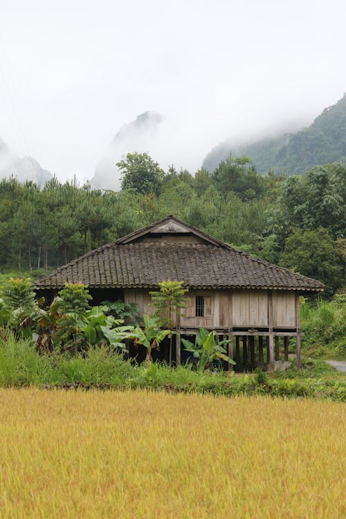 Wooden Barn in a Tropical Valley 