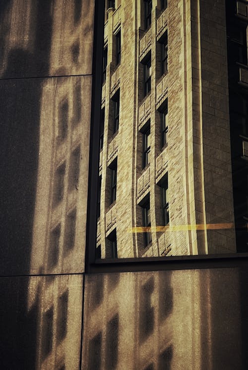 Kostnadsfri bild av byggnad, fönster, grå