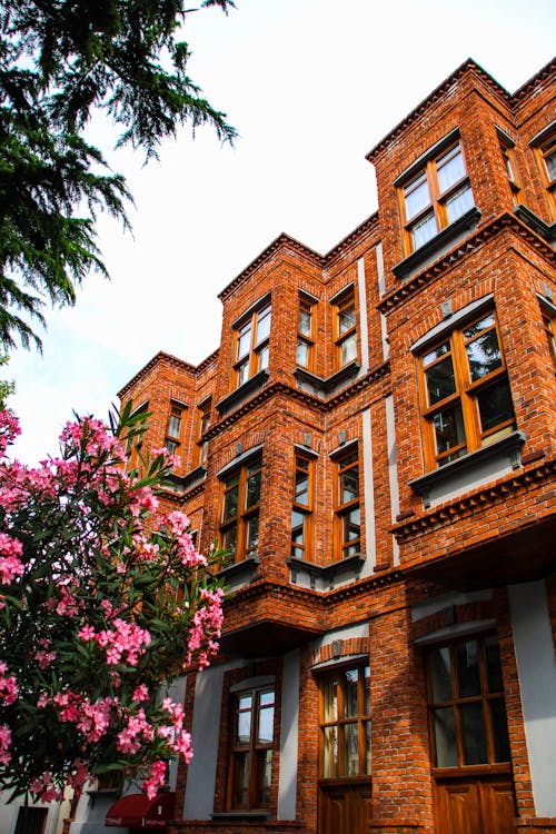 Bricks on Buildings Walls