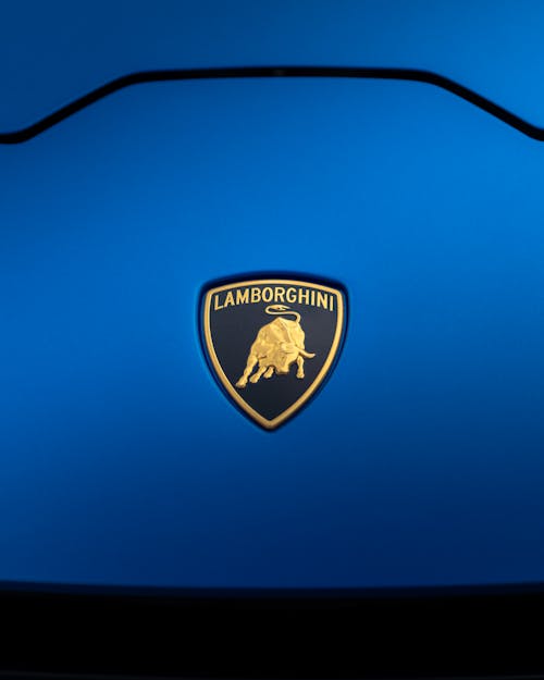 Lamborghini Emblem on Livery