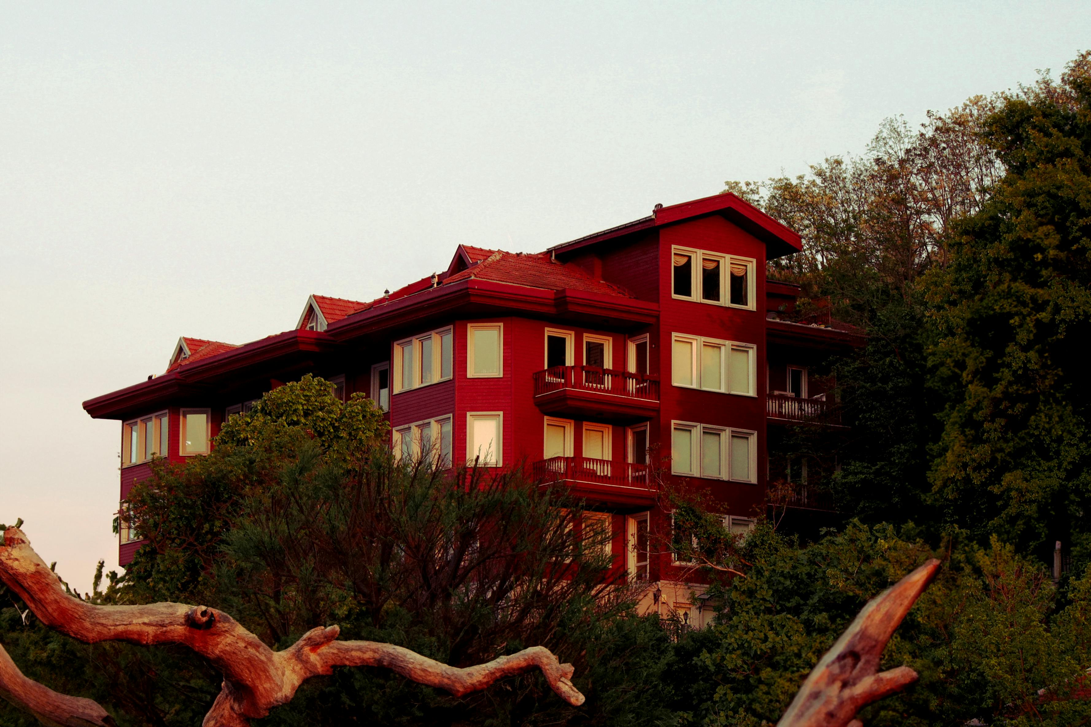 The Energy Vampires Haunting Your Home — Photo by Alimurat Üral on Pexels