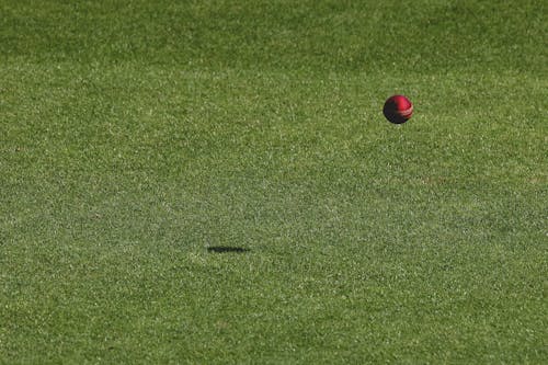 Free stock photo of cricket, cricket ball, match