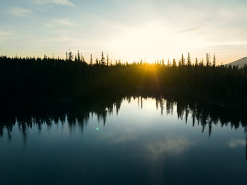 Sunset Sunlight over Forest and Lake