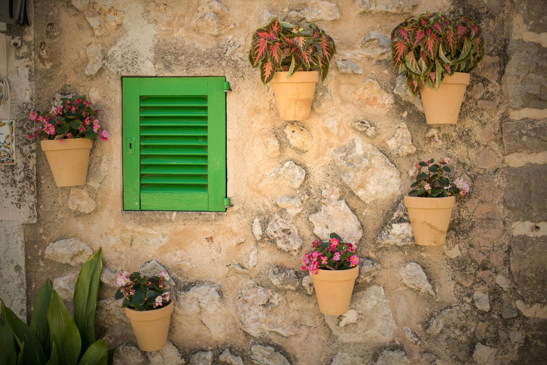 Pot On A Wall | 11 Creative Vertical Garden Ideas For A Unique Backyard