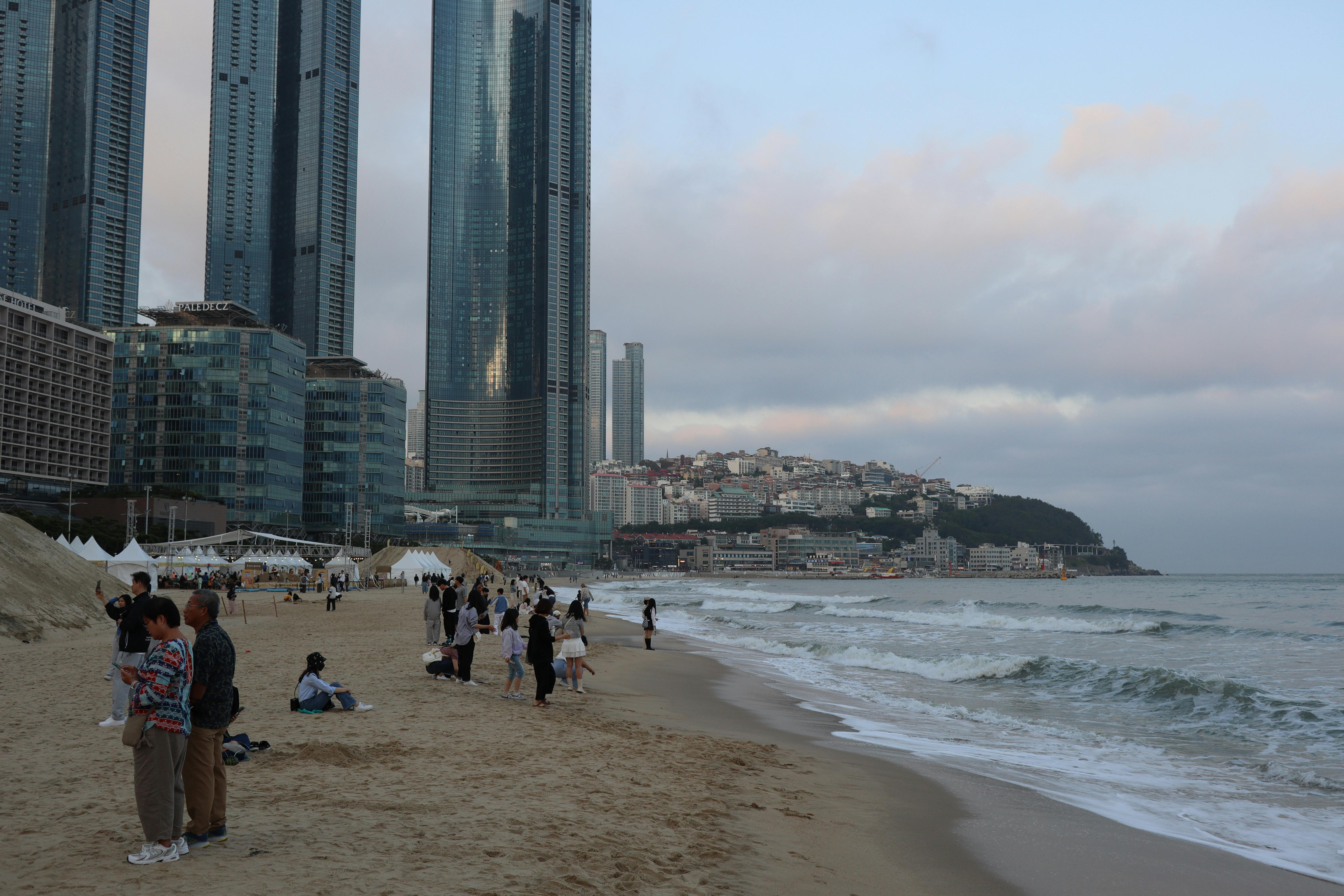 Miami cityscape with skyscrapers and palm trees
