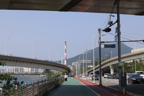 Scenic View of Busan Road Crossing