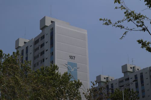 Residential Building Architecture in Busan