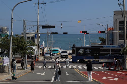 Tourist Train Crossing at Cheongsapo Station