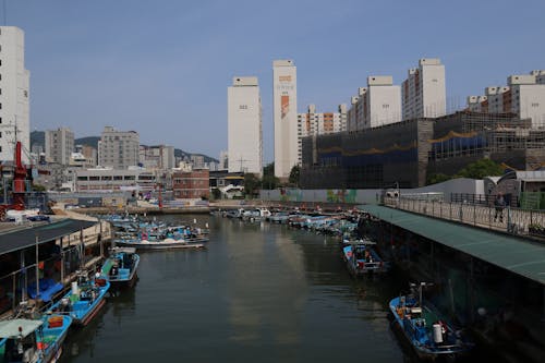 Boats and Residential Building Architecture in Busan