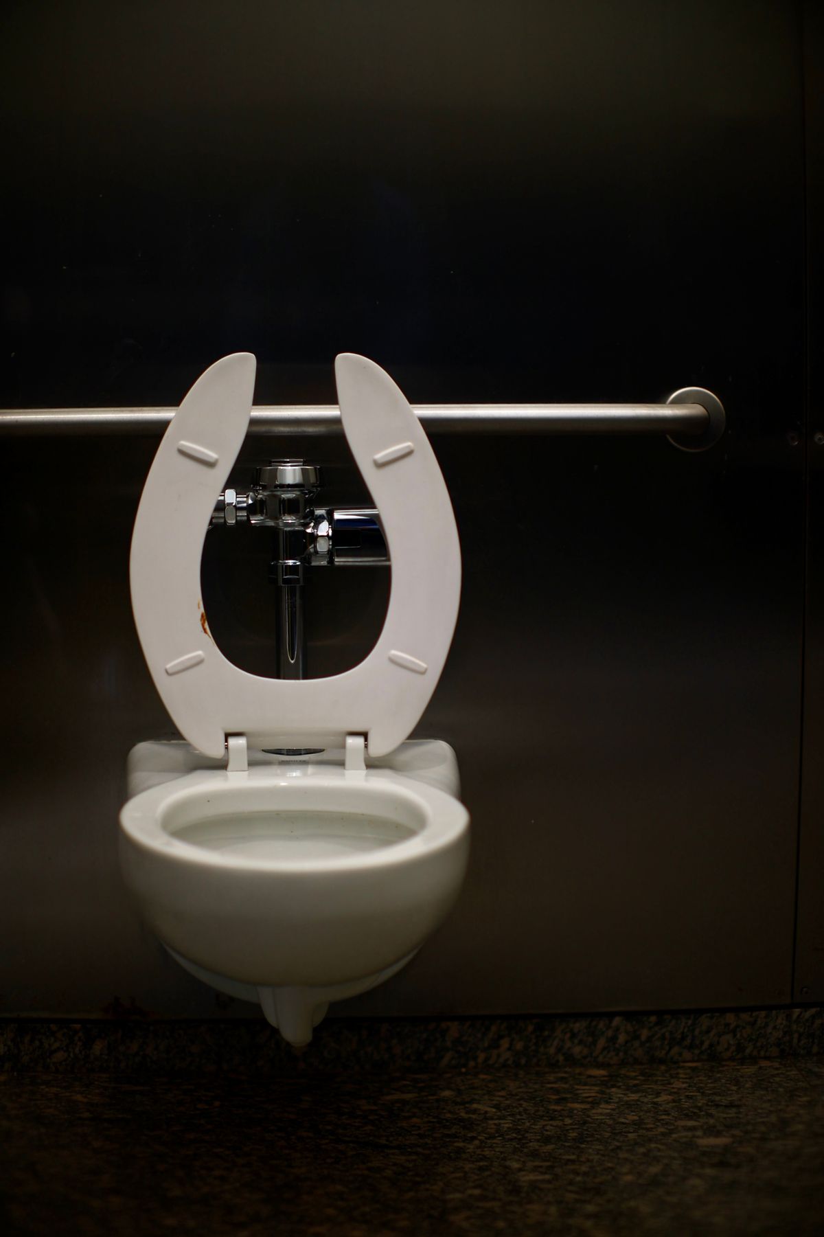 Vive Health Toilet Rail