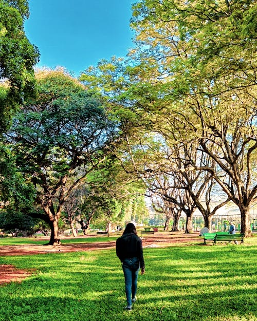 Girl Walking Amidst Tree Canopy
