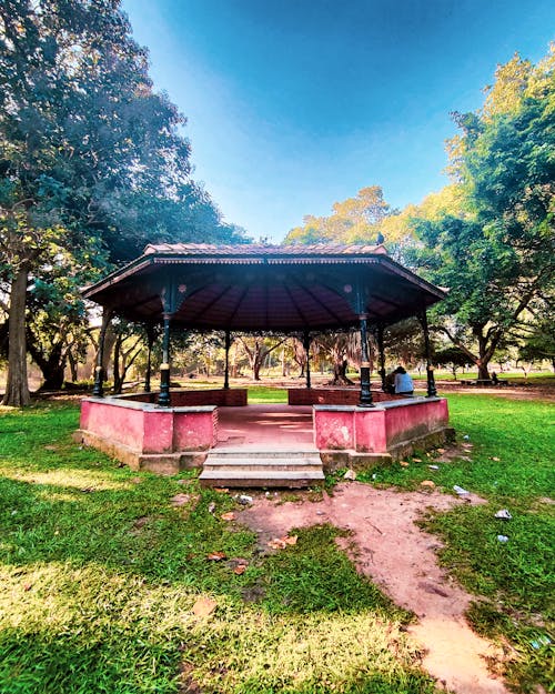 美麗的大自然, 花園公園 的 免費圖庫相片