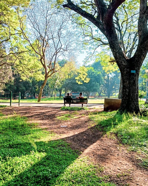 公園背景, 公園長椅, 長凳 的 免費圖庫相片