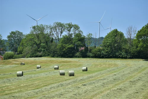 Immagine gratuita di agricoltura, alimentazione elettrica, alternativo