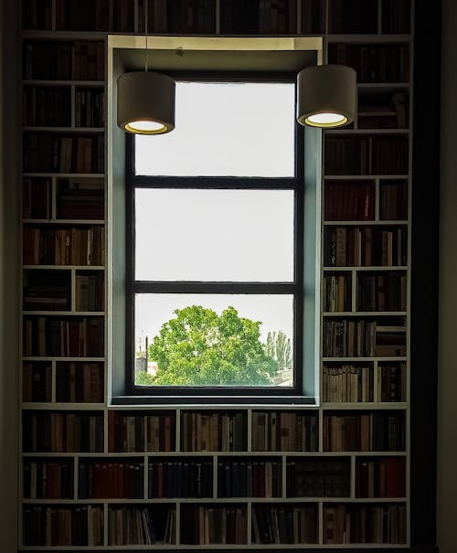 ağaç, cam, camlar içeren Ücretsiz stok fotoğraf