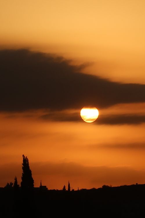 Free Dramatic sunset with silhouetted trees and clouds, creating a moody landscape. Stock Photo