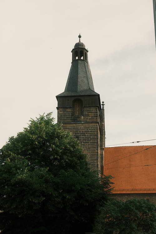 Medieval Church Tower behind Tree