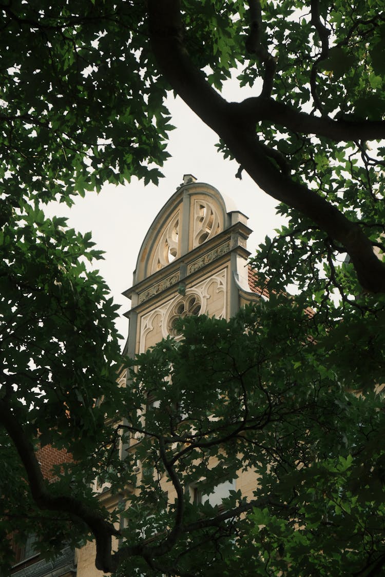 Church Facade Behind Tree Leaves