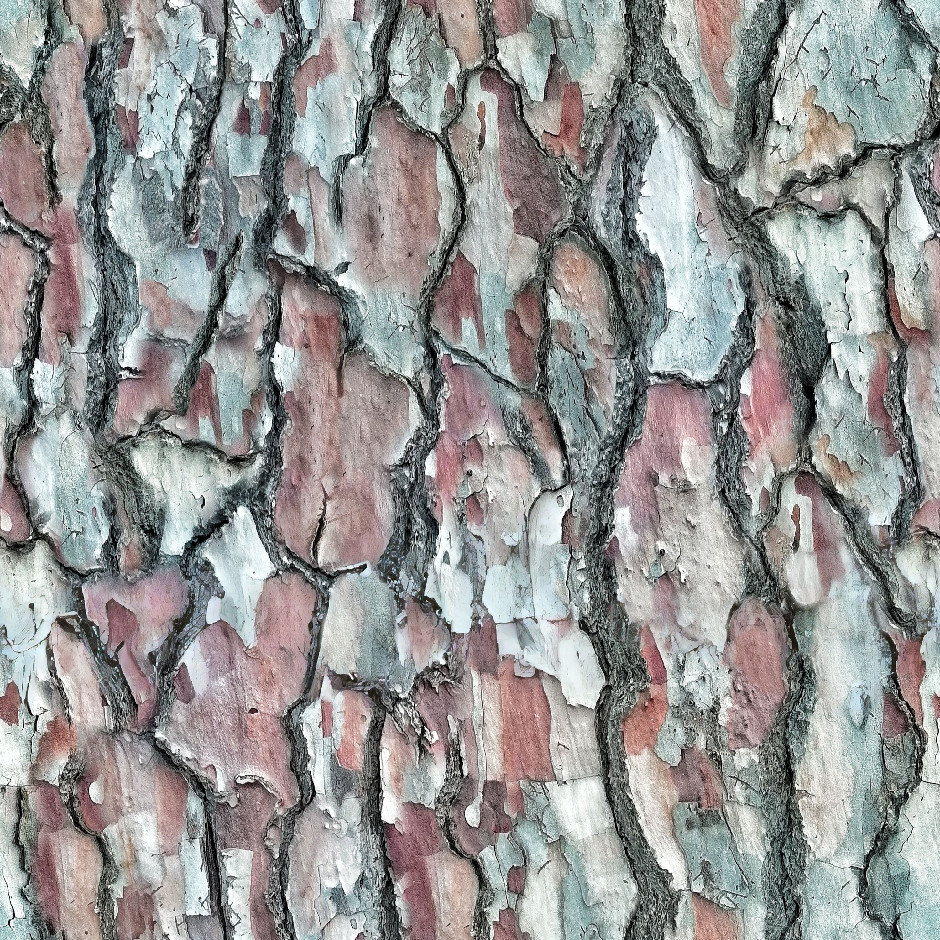 Close-up image of colorful tree bark texture, showcasing natural patterns and details.