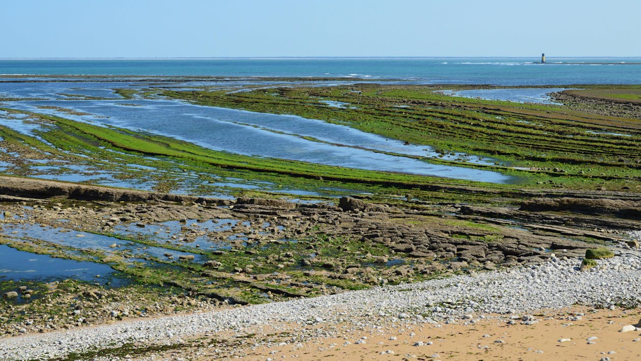 Бесплатное стоковое фото с голубое море, горизонт, морской берег