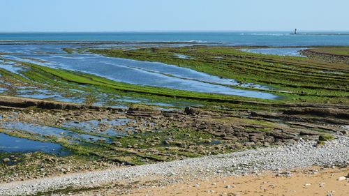 Free Tranquil seascape capturing a rocky shoreline and horizon under clear skies. Stock Photo