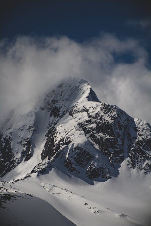 Foto profissional grátis de bico, cenário, com frio